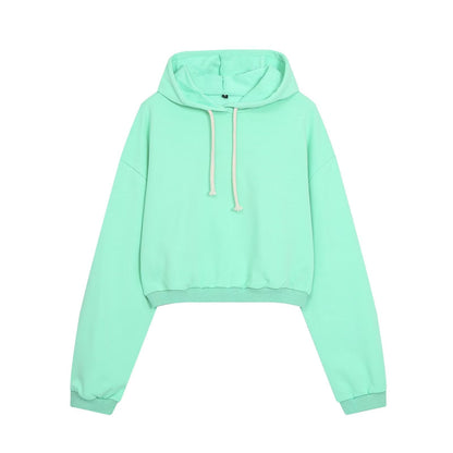 suit Women's 2 pieces comfortable casual short hooded sweatshirt+Pants